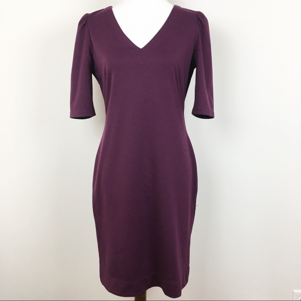 Banana Republic Stretchy Sheath Dress Size 8